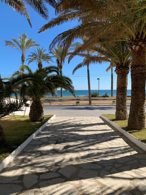 Altos Blancos Apartment El Campello Bagian luar foto
